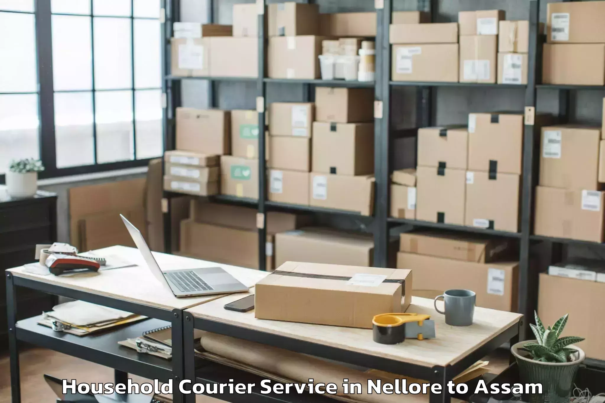 Top Nellore to Digboi Household Courier Available